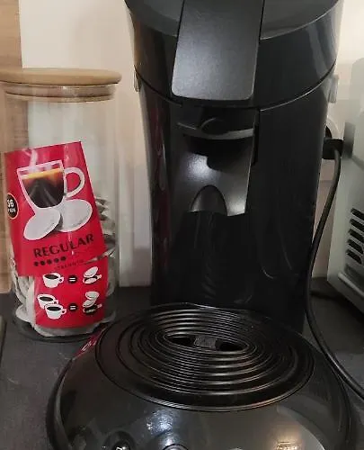 Loft Industriel L'idaho * סירגומין